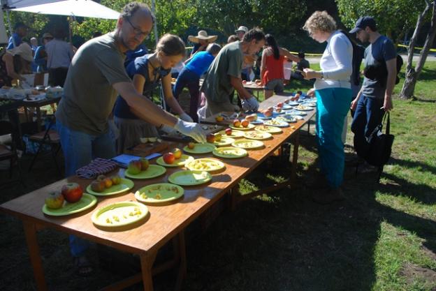 Heirloom apple tasting reveals flavors in fruit you'd never expect. Photo by Peg Danielson.