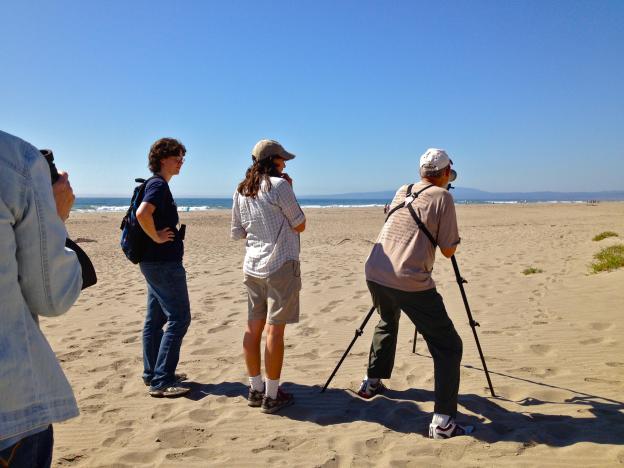 Beginning birders assume the position: eye to scope, body bent to whatever height the scope requires. Photo by Maria Grusauskas.