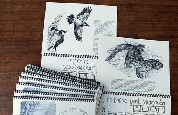 Leonie Sherman's handmade calendars give you the skinny on local flora and fauna.