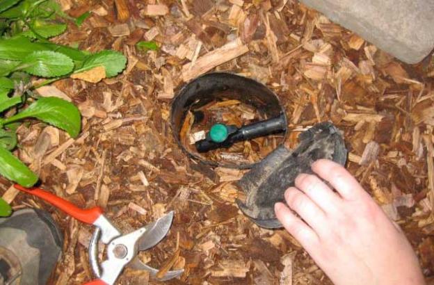 A wood-chip mulch basin makes graywater irrigation super-safe. 
