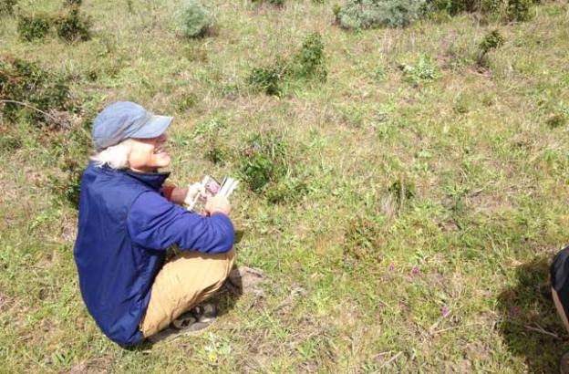 Kim Tschantz consults his wildflower book while checking out a red maid. 