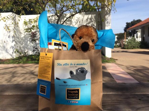 Ollie here, plus a money-saving Friends membership, can be yours for just $50.