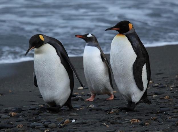 You're well fed, dressed for weather and you've got people in town. Time to step out!  Photo by Liam Quinn.