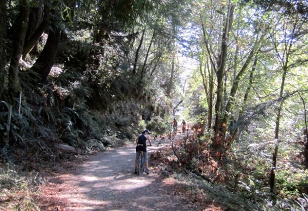 Most of the way to the falls, Skyline-to-the-Sea is open to bicycles. Hilltromper photo