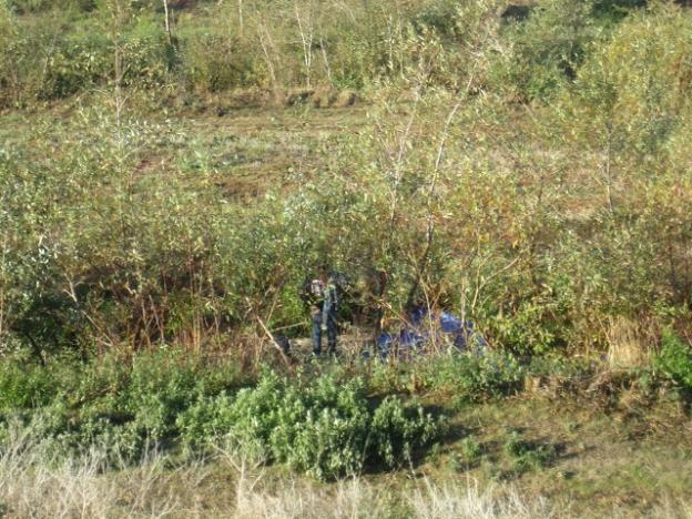 An illegal camper in the San Lorenzo River bed rises and shines. Hilltromper photo.