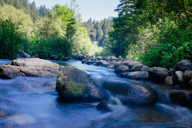 The mighty San Lorenzo River, home to several awesome swimming holes. Photo by Eric Ressler.