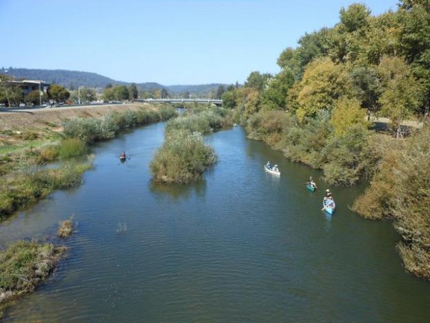 The San Lorenzo Paddle Day on Oct. 12, 2013 was a preview of the kind of waterway the newly announced San Lorenzo River Alliance hopes one day to see. Photo by Sierra Ryan.