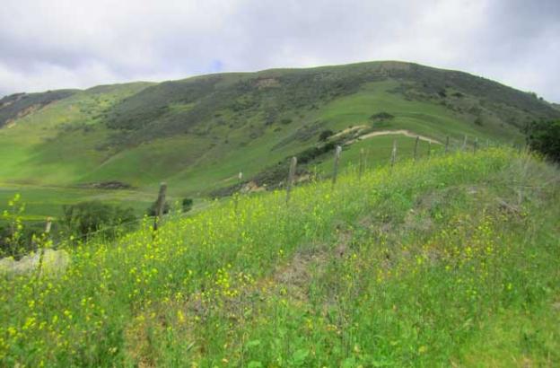 On the road approaching Star Creek Ranch.