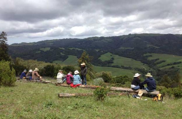 Picnickers in Picnic Meadow, looking across Pescadero Creek.