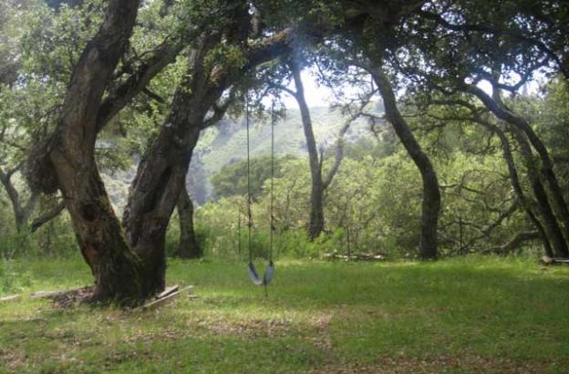 Just past Picnic Meadow, a perfect place for an after-lunch swing.