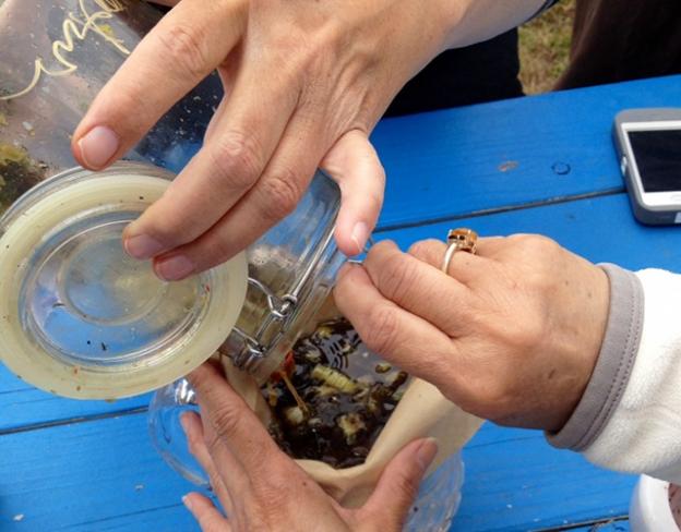 Straining the tincture through a coffee filter. For best results, replace the plant material in the alcohol base every few weeks until the perfume has reached the desired strength.