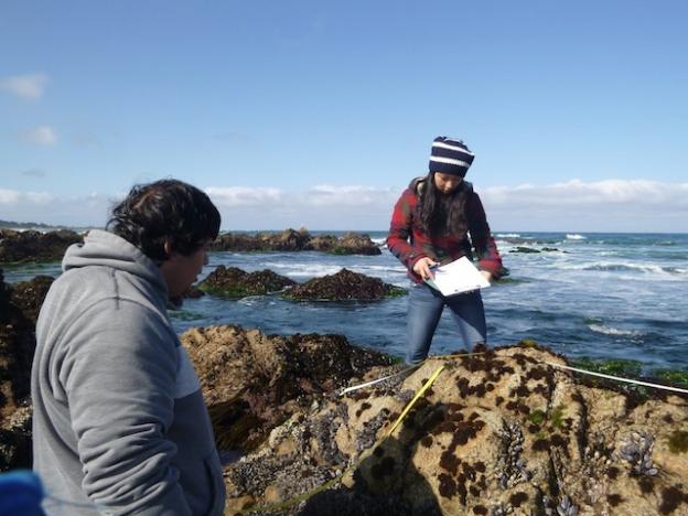 These interns are working on a community composition survey. Photo courtesy Monica Moritsch