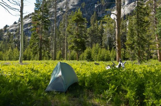 Carl's old $150 tent, between Glen Aulin and California Falls in Tuolumne Meadows. 