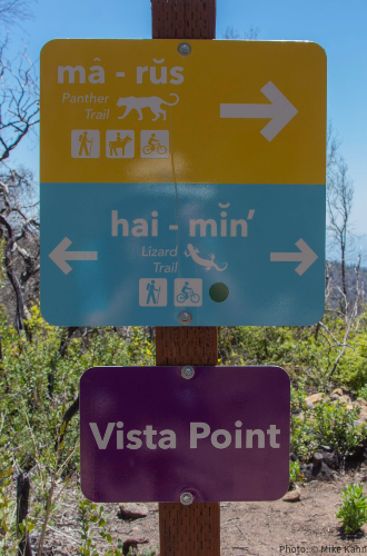 Vista Point at San Vicente Redwoods, photo by Mike Kahn.
