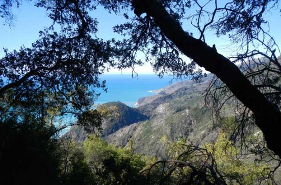 Like all climbs from the ocean side of Big Sur, the payoffs are immediate and breathtaking.