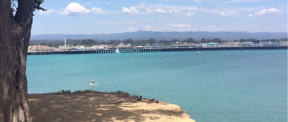 The view from West Cliff Drive. Photo by Traci Hukill. 