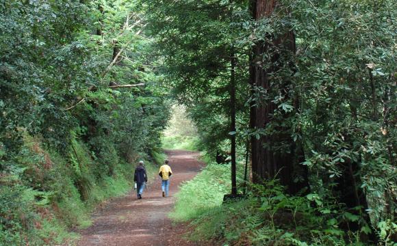 You won't see too many other people at Byrne-Milliron. Photo courtesy: Land Trust of Santa Cruz County.