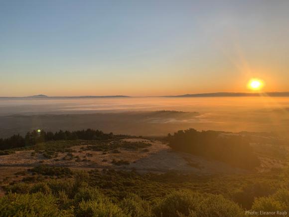 Sunrise from Windy Hill overlooking San Francisco Bay, copyright Eleanor Raab.