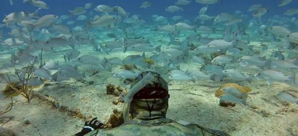GoPro diver swims among his fishy friends.