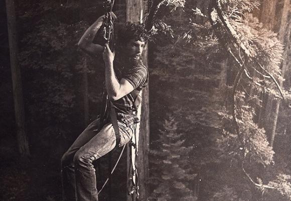 In 1987, Greg King spent a week in a tree in the All Species Grove, one of the ancient redwood groves within Headwaters Forest. King said, “Those spiky branches almost killed me when I careened toward them on the traverse at 20 mph, only the ascent at the other side of the ride slowing and therefore saving me." Photo courtesy Greg King.