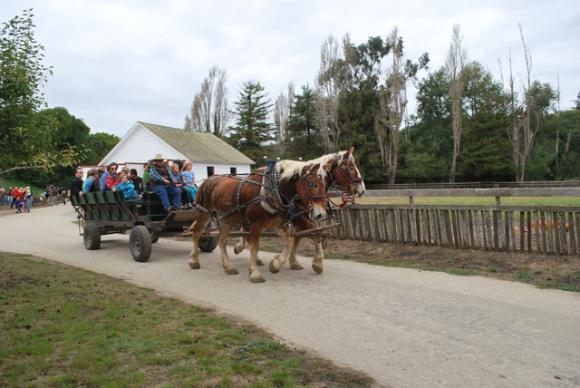 Wagon rides? Alrighty, then! Photo by Peg Danielson.