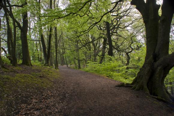 Photo by Ian Greig/Creative Commons