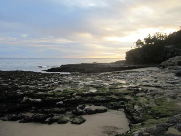 Classic King Tide shot from West Cliff in December 2012. Note the expanse of exposed seabed. Hilltromper photo.