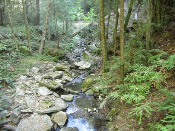 Like a pixel in a bigger picture, Snapshot Day offers a limited but valuable look at the health of our watersheds. Hilltromper photo.