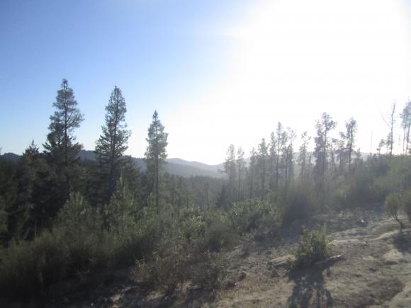 Looking west from Ocean View Summit in Big Basin State Park. Photo by Hilltromper.