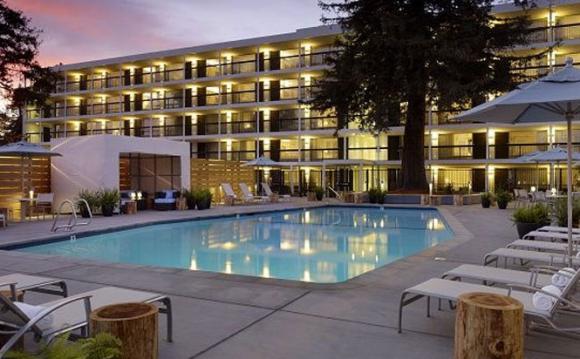 Hotel Paradox, located minutes from both downtown Santa Cruz and the redwood forest, brings a mountain esthetic to a luxury hotel environment. 