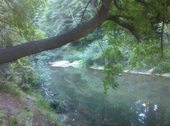 The San Lorenzo River viewed from the River Trail just before the train trestle. Hilltromper photo.