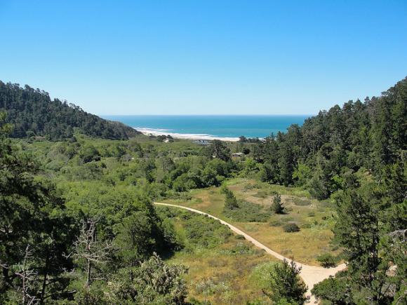 Skyline to the Sea Trail overlooking Waddell Beach. Hilltromper photo. 