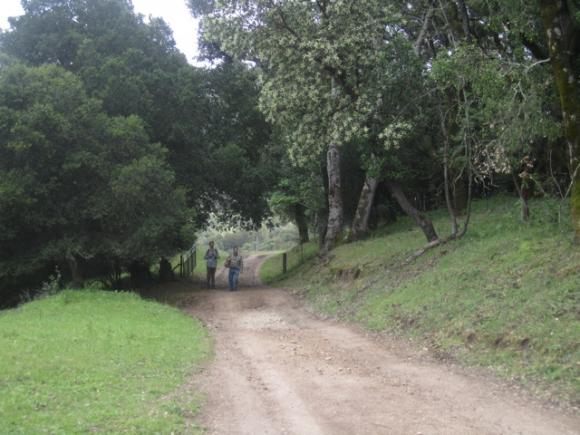 Hikers enjoy the scenery on a Star Creek Ranch Adventure day. Hilltromper photo.