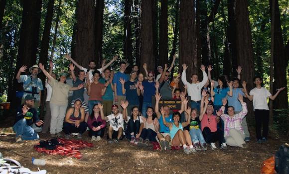 At the Wender Group Grove in June 2016. Scott Peden photo.