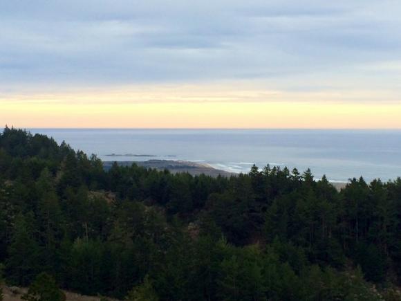 The view of Point Ano Nuevo from the Whitehouse Ridge Trail. Allison Titus photo. 