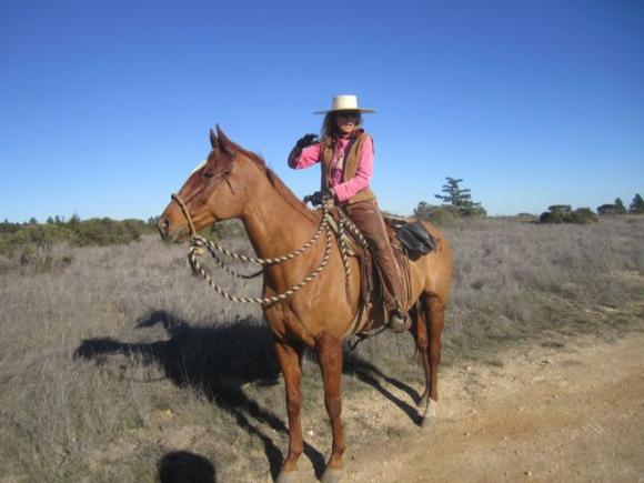 The forward position of this horse's ears indicate that it's alert but not freaked out. Hilltromper photo.