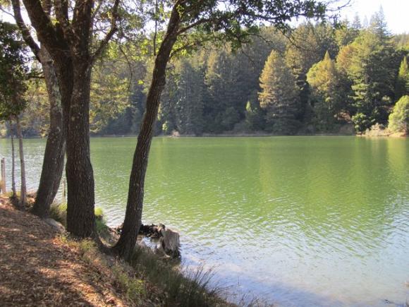 Your rental kayak here. Photo by Hilltromper.