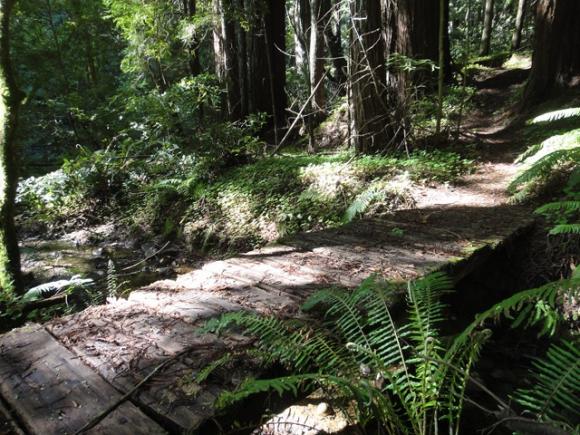 Footbridge near West Ridge Camp. Photo by Garrett McAuliffe.