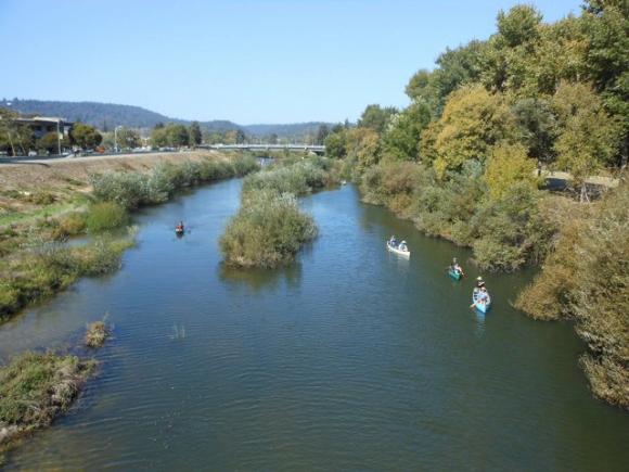 The San Lorenzo Paddle Day on Oct. 12, 2013 was a preview of the kind of waterway the newly announced San Lorenzo River Alliance hopes one day to see. Photo by Sierra Ryan.